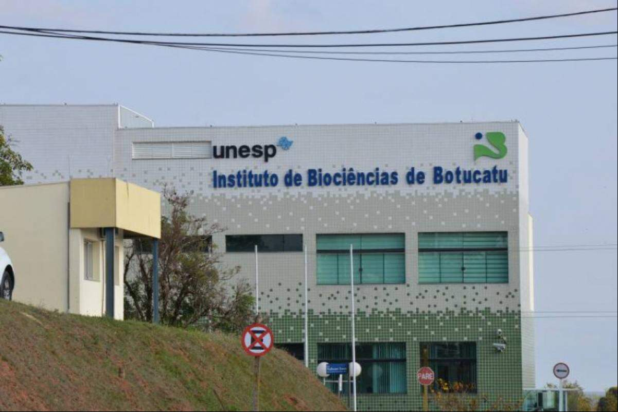 Imagem Notícia